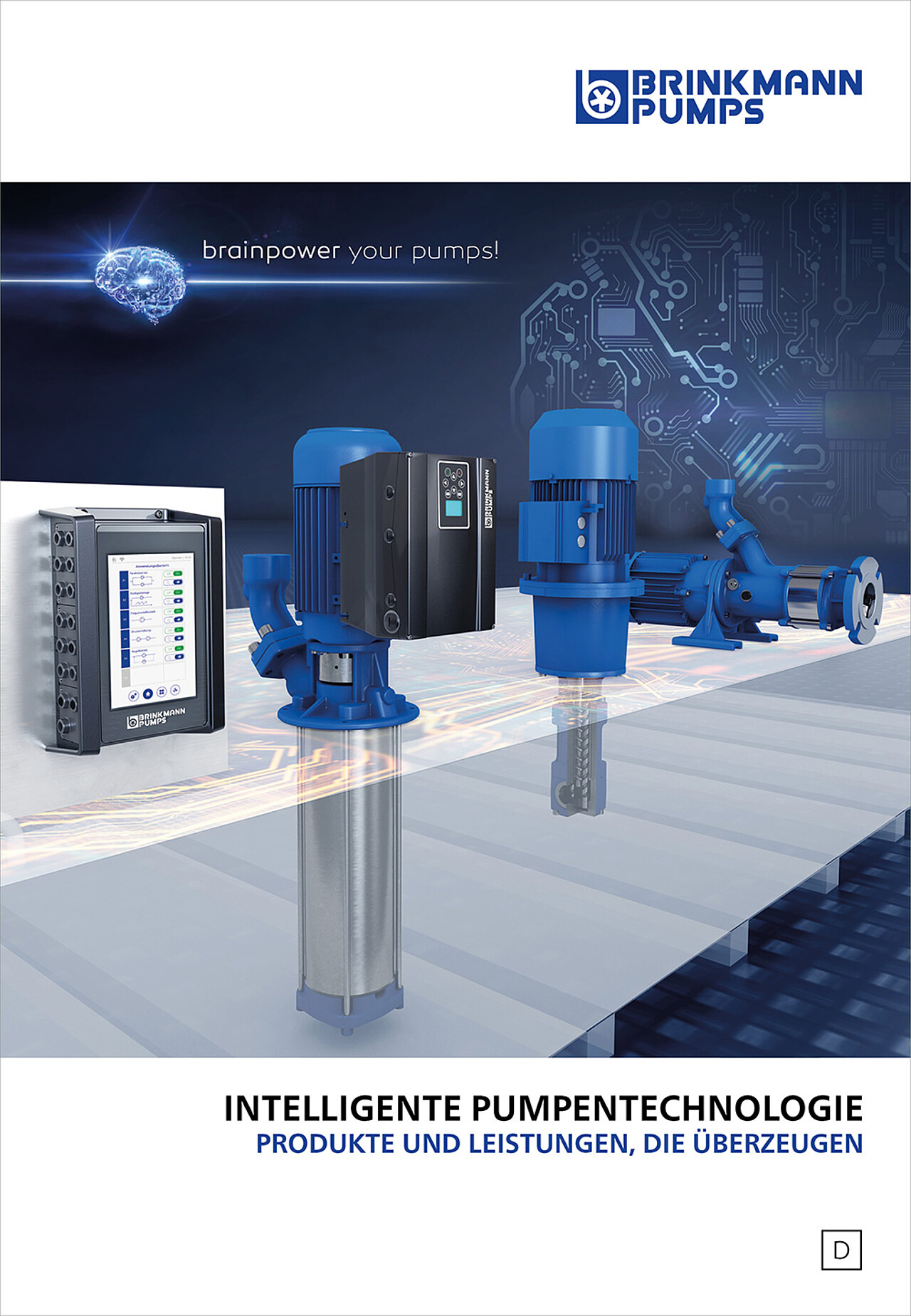 Summary Brinkmann Pumps