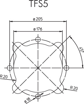TFS5