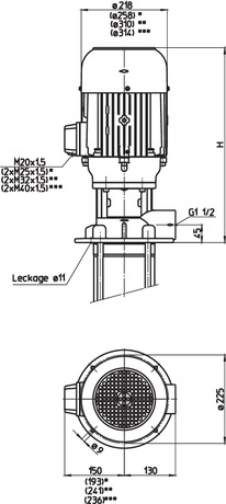 (S)TH17